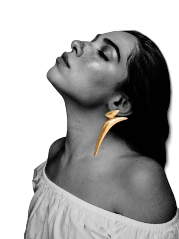Big drop earrings abstart moon
